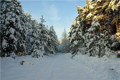 《铁拳8》全新预告 展示女性角色Leo