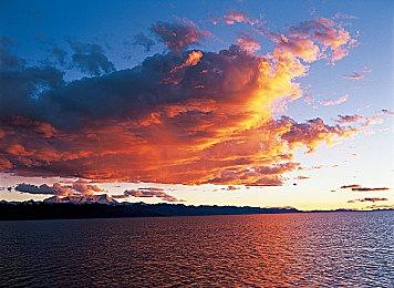 《森林》续作《森林之子》将于明年5月20日上市